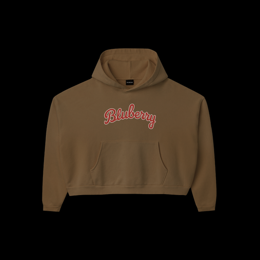 BROWN LOGO HOODIE